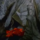 Illustration for article titled $1 Million Being Offered for Judy Garland's Stolen Ruby Slippers